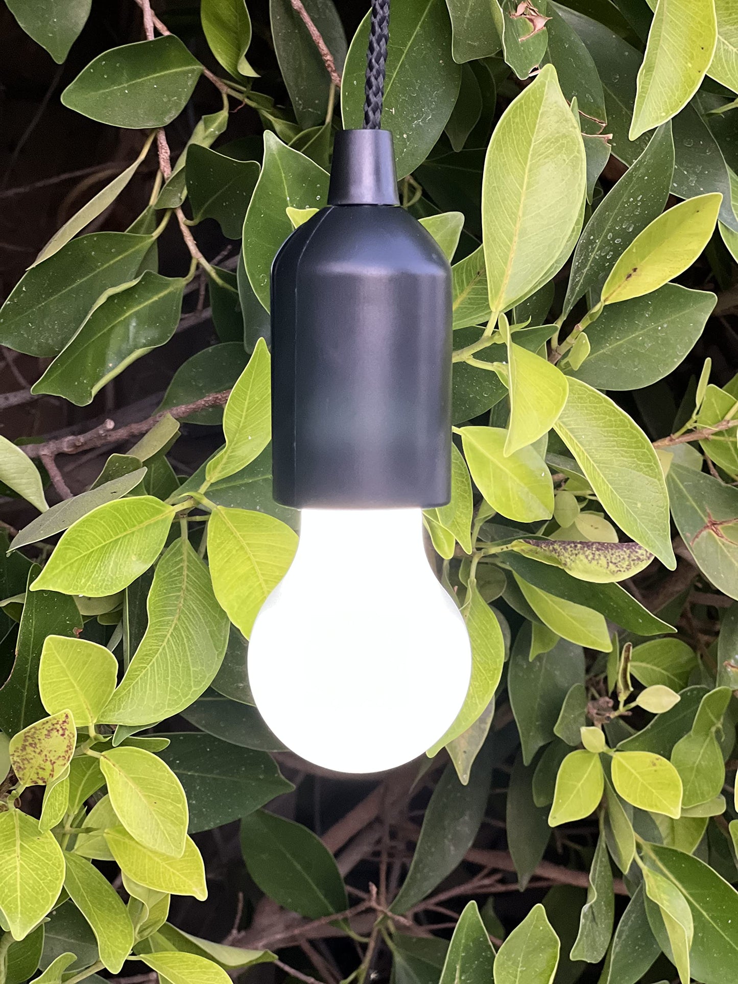 I Set of 4 Pull Rope LED Bulb I for Weddings I Indoor, Outdoors I Back Yard Decor I Kids Bedroom (Black)